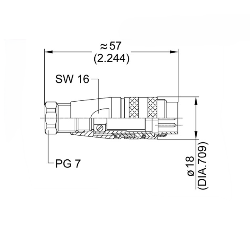 C091 31H008 100 2 -4
